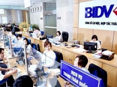 Vay vốn thế chấp tại ngân hàng BIDV Hà Nội lãi suất bao nhiêu và hướng dẫn thủ tục vay vốn Vay vốn thế chấp tại ngân hàng BIDV Hà Nội lãi suất bao nhiêu và hướng dẫn thủ tục vay vốn