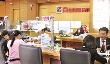 thông tin cần biết về vay vốn ngân hàng Agribank 